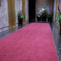 Deluxe Carpet Entrance Mats