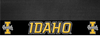 University of Idaho